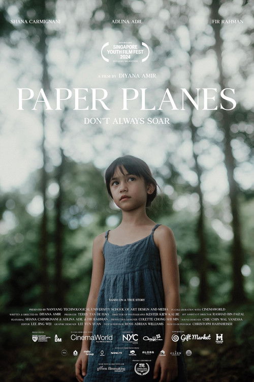 Paper Planes, Don't Always Soar (2023) poster