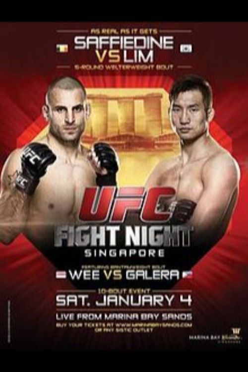 UFC Fight Night 34: Saffiedine vs. Lim (2014) poster