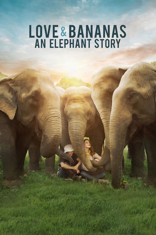Love & Bananas: An Elephant Story (2018) poster