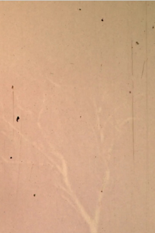 The Lull the Going (2016) poster