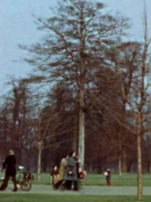 Park Film (1973) poster