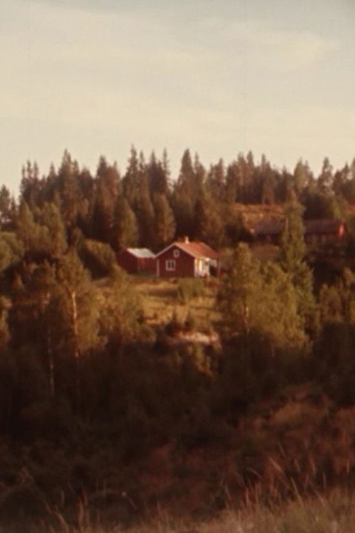 Glimtar (1975) poster