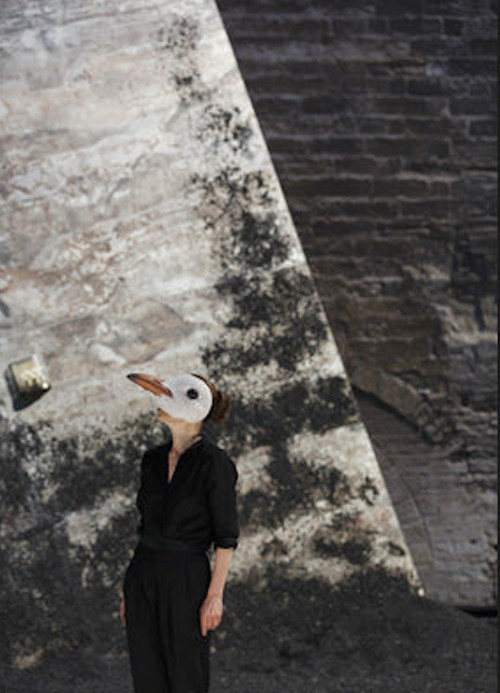 La Mouette (2012) poster