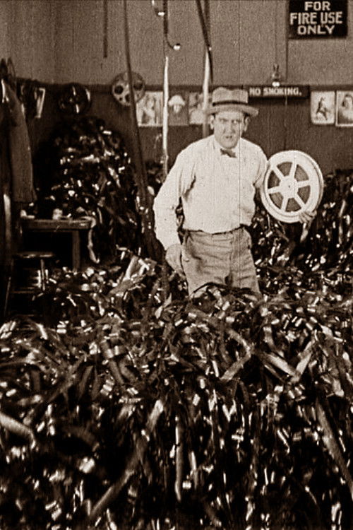 The House of Flickers (1925) poster