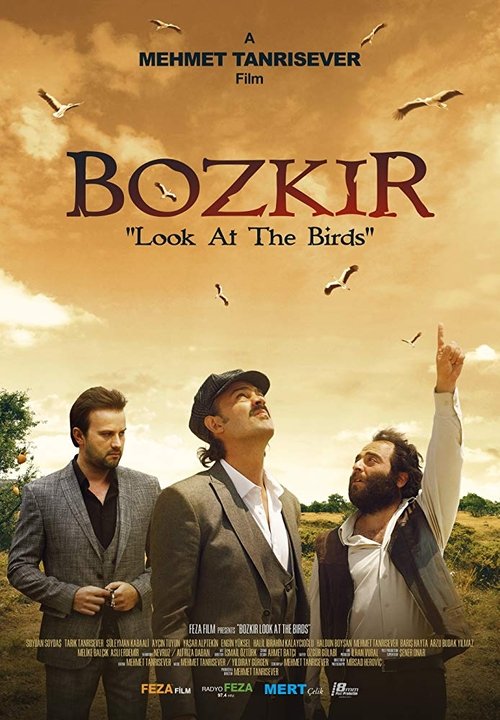 Bozkir "Look at the Birds" (2019) poster