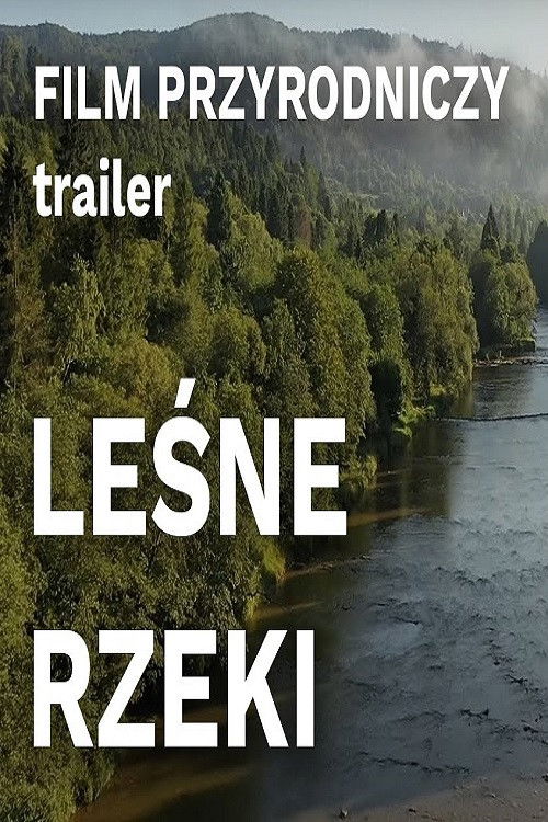 Leśne rzeki (2022) poster