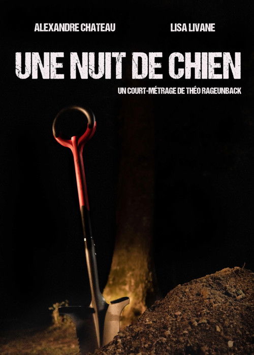 Une nuit de chien (2026) poster