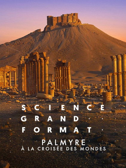 Palmyre, à la croisée des mondes (2024) poster