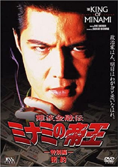 The King of Minami: Conspiracy (1996) poster
