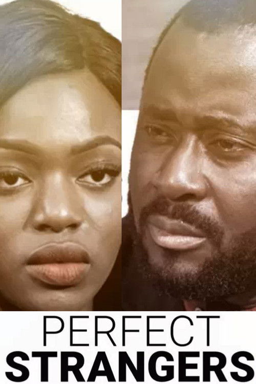 Perfect Strangers (2017) poster