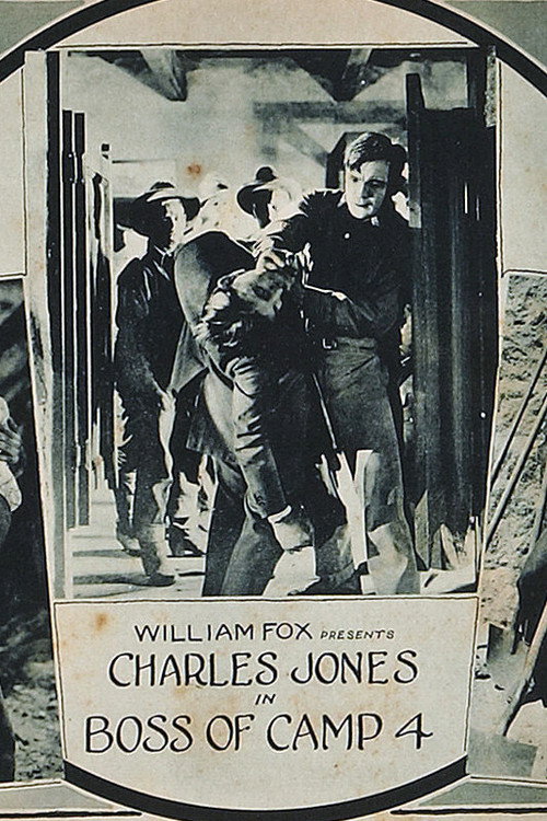 The Boss of Camp 4 (1922) poster