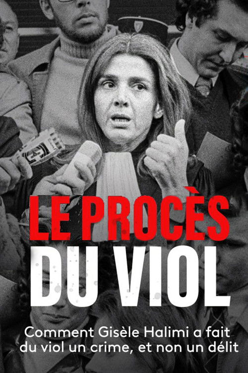 Le Procès du viol (2013) poster