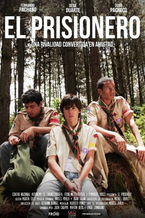 The Prisoner (2012) poster