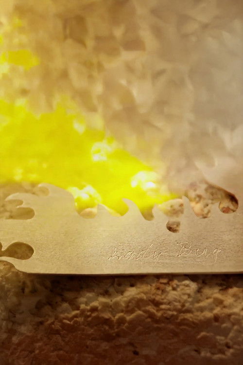 Ladybug (2015) poster