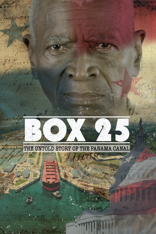 Box 25 (2015) poster