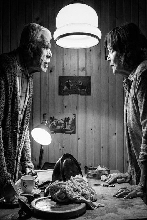 Love on the Roof of the World (2015) poster