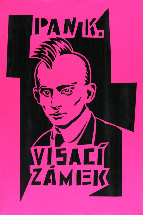Visaci zamek 1982 - 2007 (1993) poster