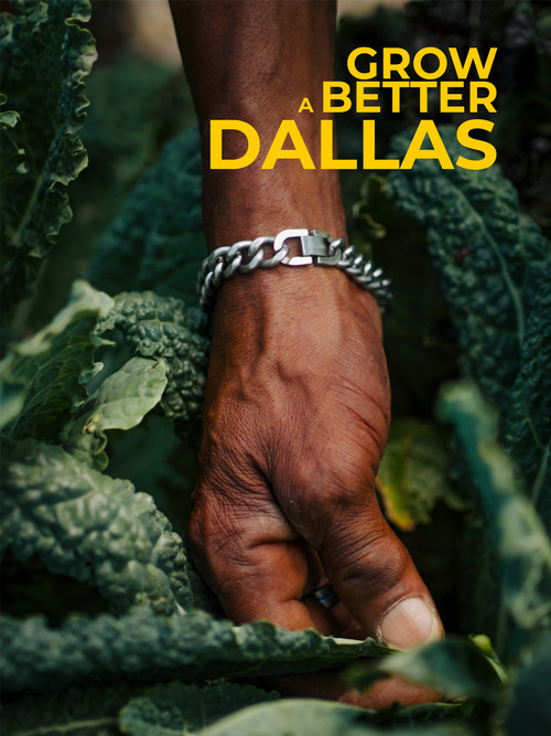 Grow a Better Dallas (2024) poster