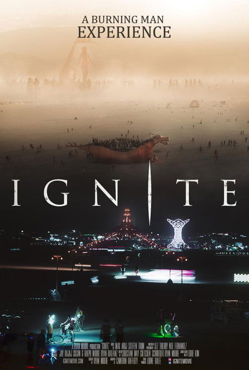 Ignite: A Burning Man Experience (2018) poster