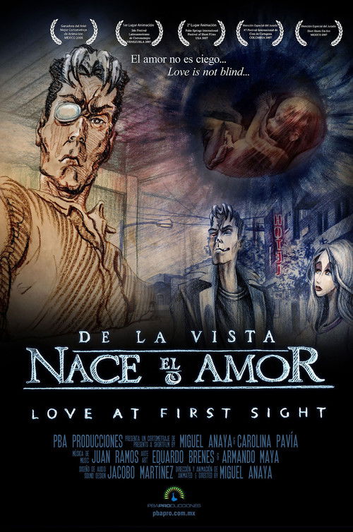 De la vista nace el amor (2007) poster
