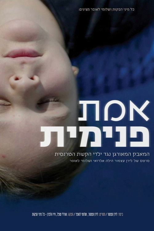 The Inner Truth (2024) poster