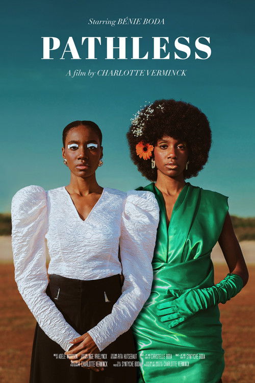 Pathless (2023) poster