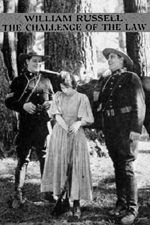 The Challenge of the Law (1920) poster