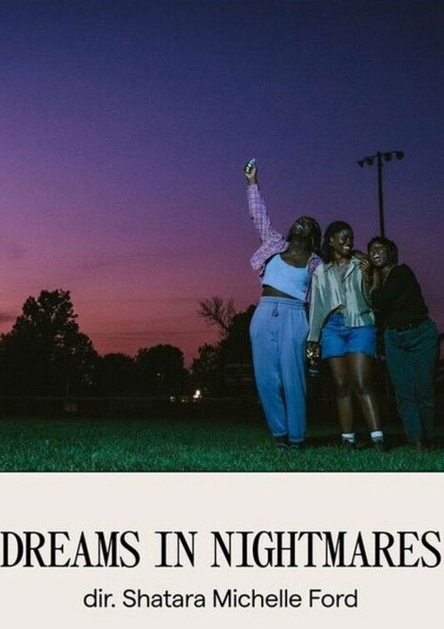 Dreams in Nightmares (2024) poster