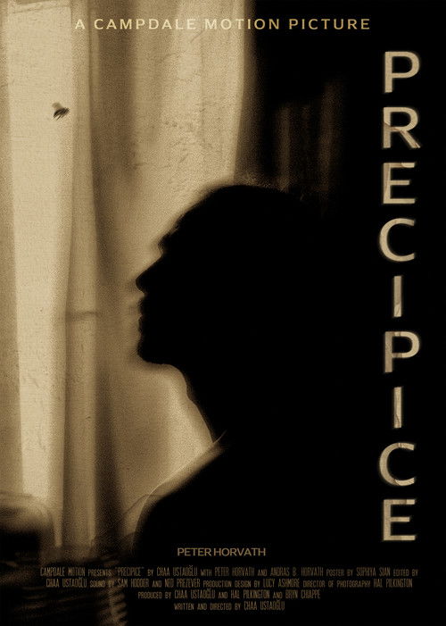 Precipice (2023) poster