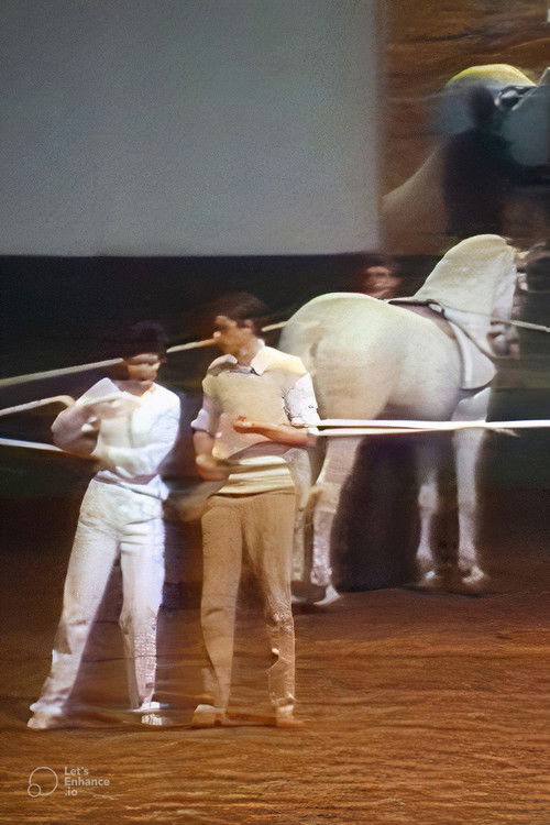 Kaiserschnitt (1979) poster