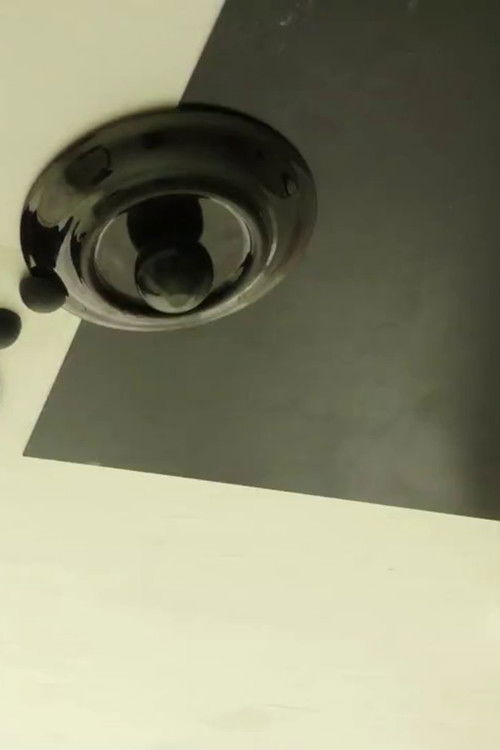 AANAATT (2008) poster