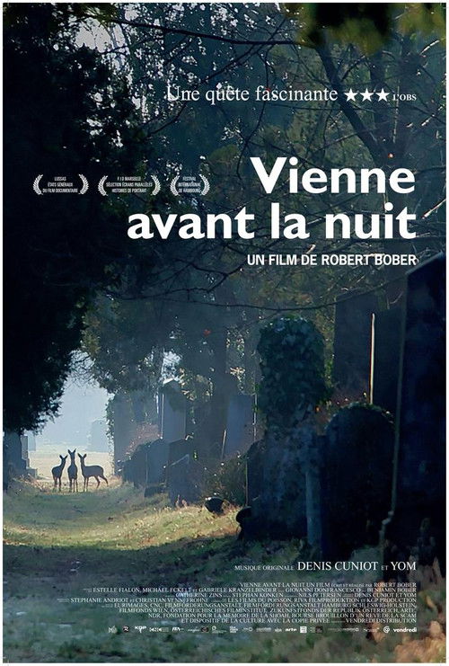 Vienne avant la nuit (2017) poster