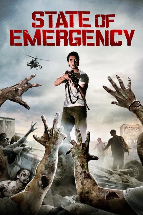 State of Emergency (2012) poster