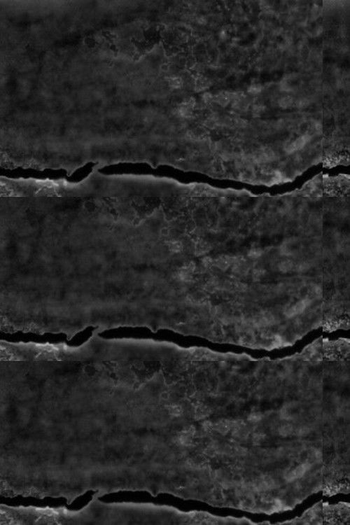 A Radical Film (2017) poster