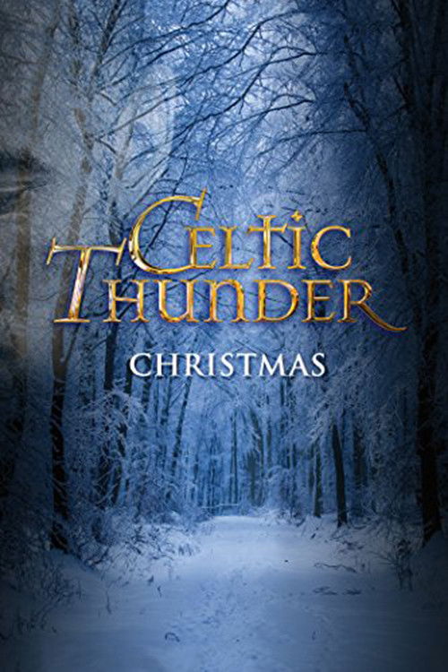 Celtic Thunder: Christmas (2010) poster