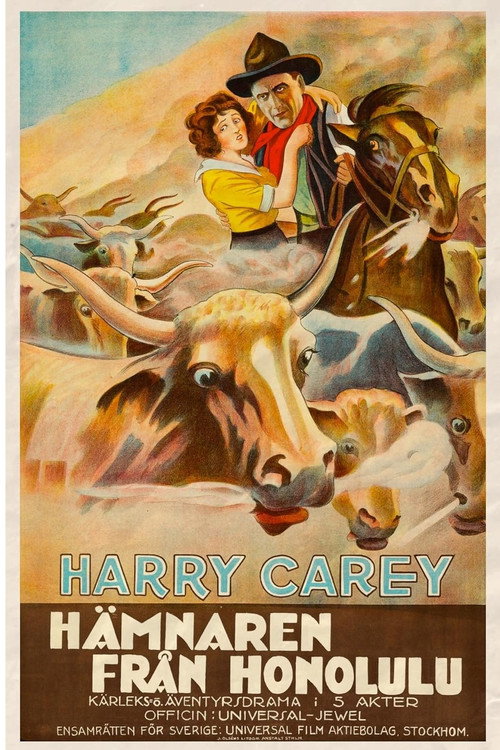 The Outlaw and the Lady (1917) poster