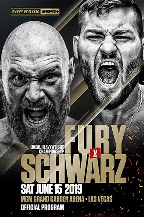 Fury vs. Schwarz (2019) poster