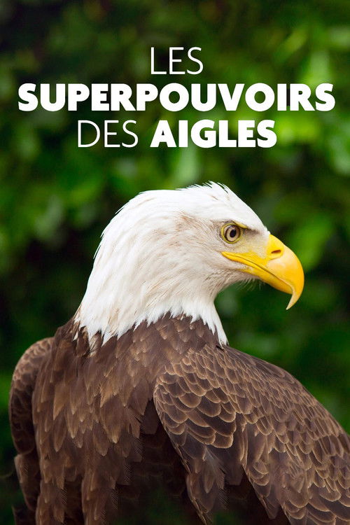 Superpowered Eagles (2021) poster