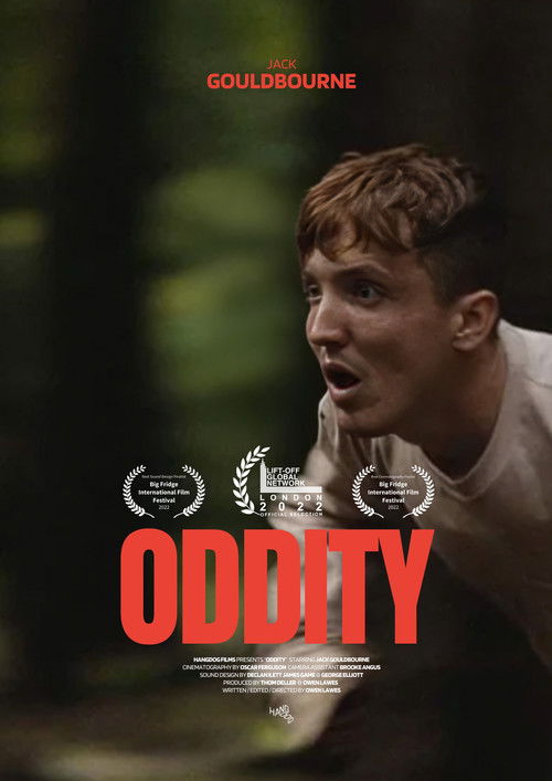 Oddity (2022) poster