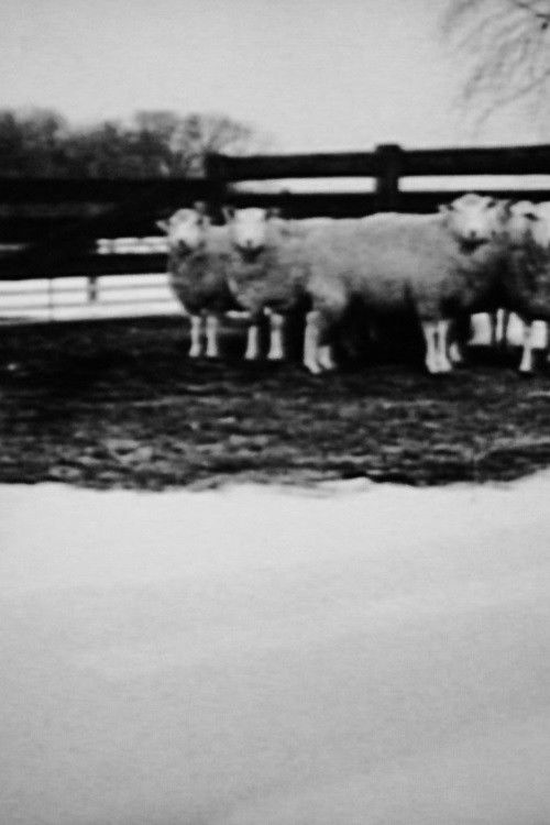 Families (2002) poster