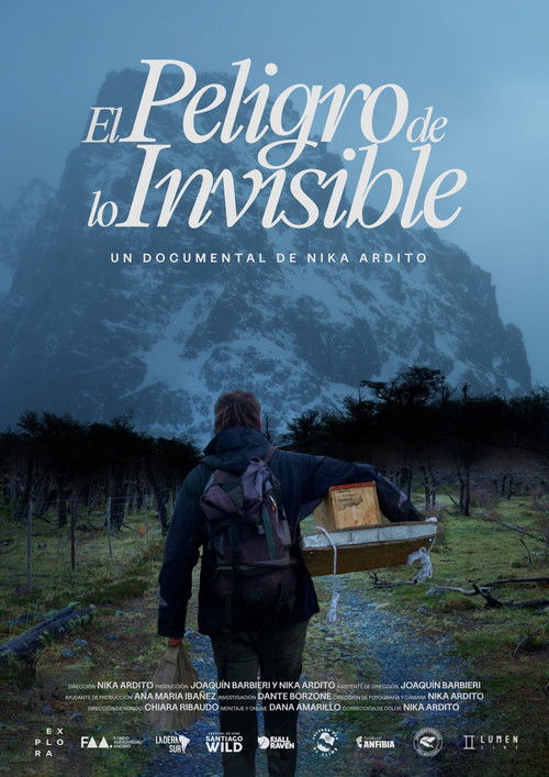 El peligro de lo invisible (2025) poster