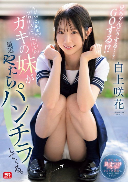 ちょっと前までプロレスごっこしてたガキの妹が最近やたらパンチラしてくる。兄ちゃんどうする・・・? GOする!? (2025) poster