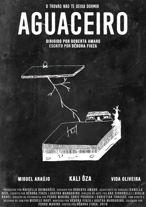 Aguaceiro (2019) poster