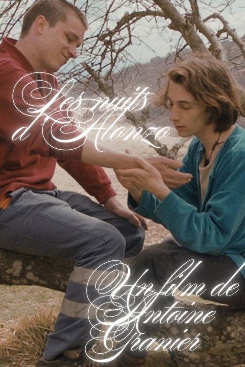 Les nuits d'Allonzo (2019) poster