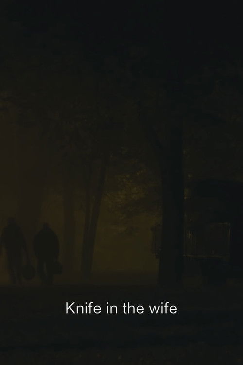 Knife in the Wife (2014) poster