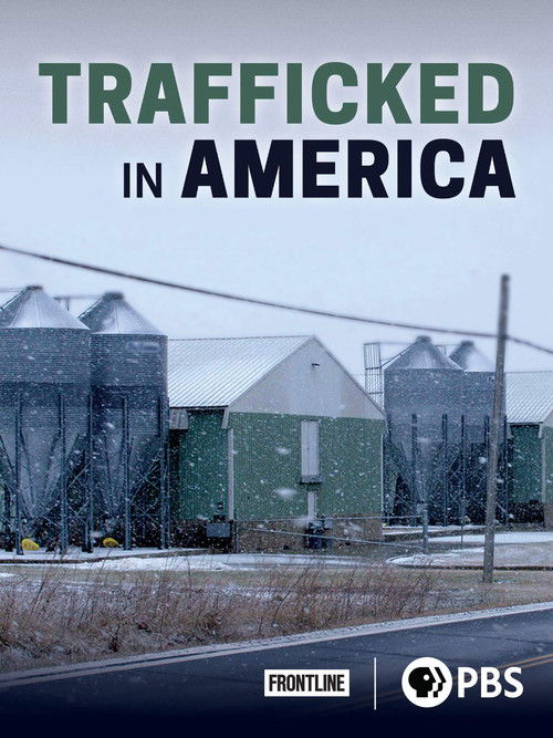 Trafficked in America (2018) poster