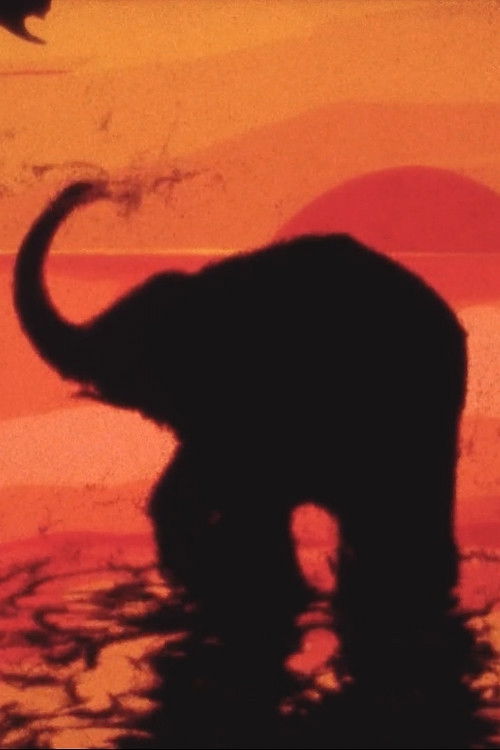 Tracks (2003) poster