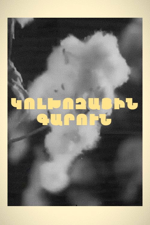 Spring in Kolkhoz (1929) poster