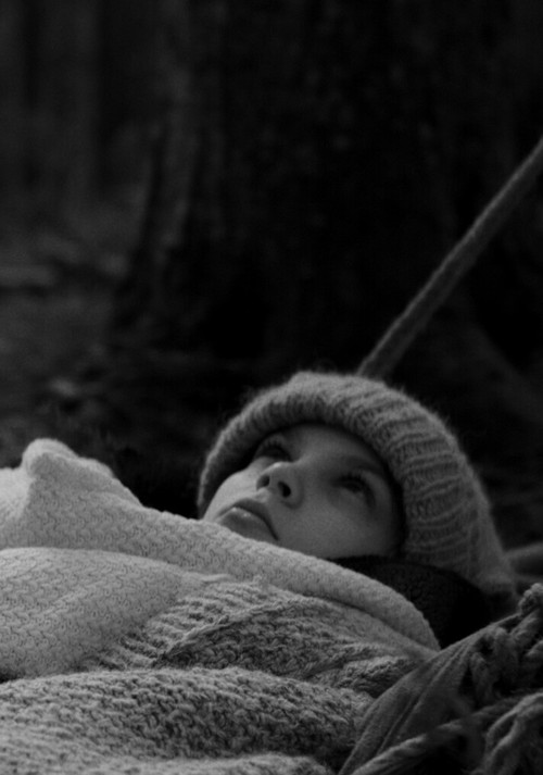 The Body Is Getting Cold (2024) poster