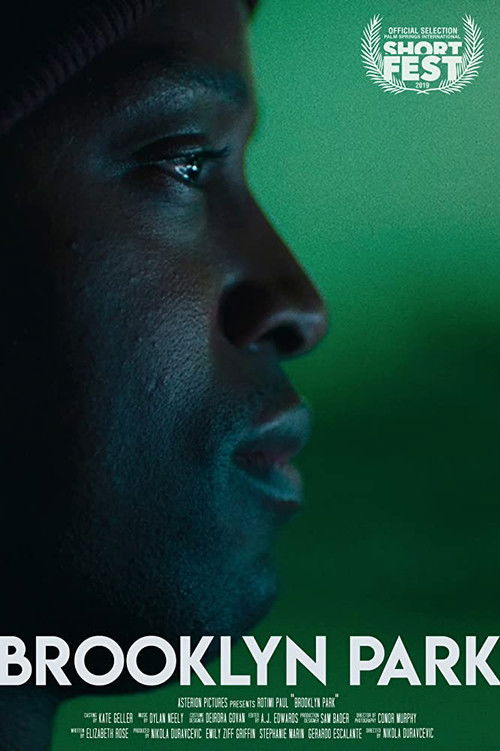 Brooklyn Park (2019) poster